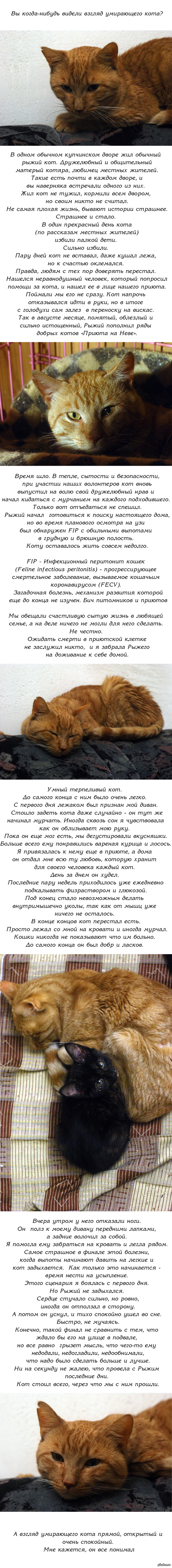 Ссылка кракен cc
