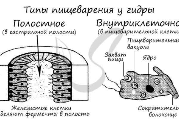 Что с кракеном сайт на сегодня