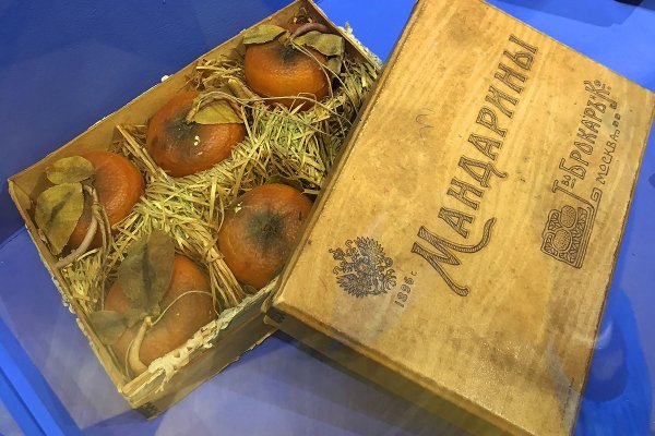 Kraken onion ссылка