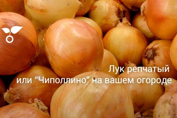 Кракен супернет только через тор