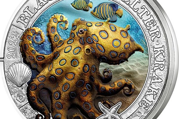 Kraken at17
