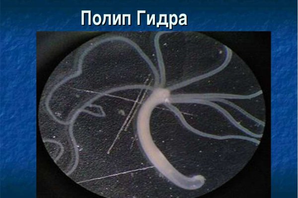 Зеркало на кракен