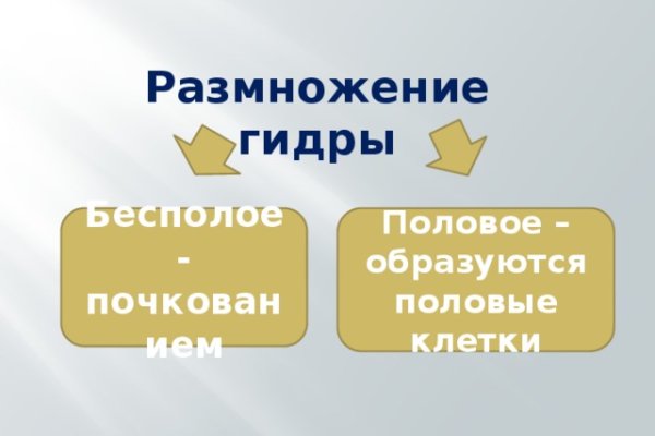 Кракен ссылка vtor