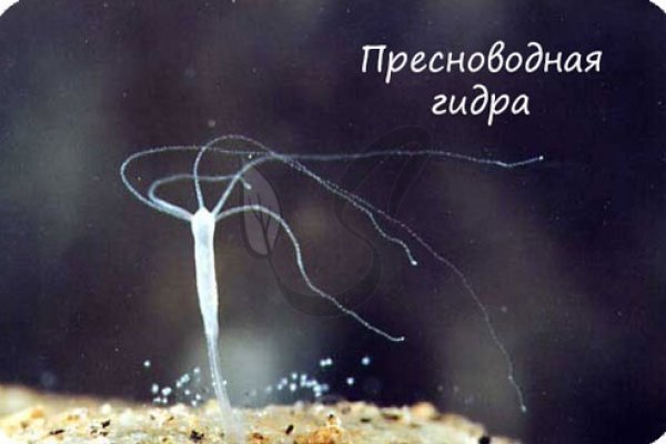 Ссылки на супернет сайты