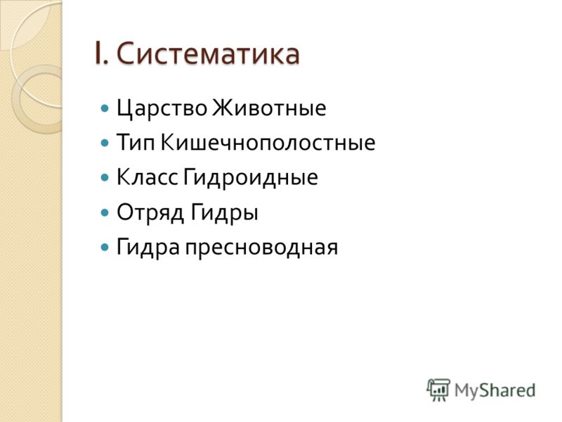 Kraken что это такое